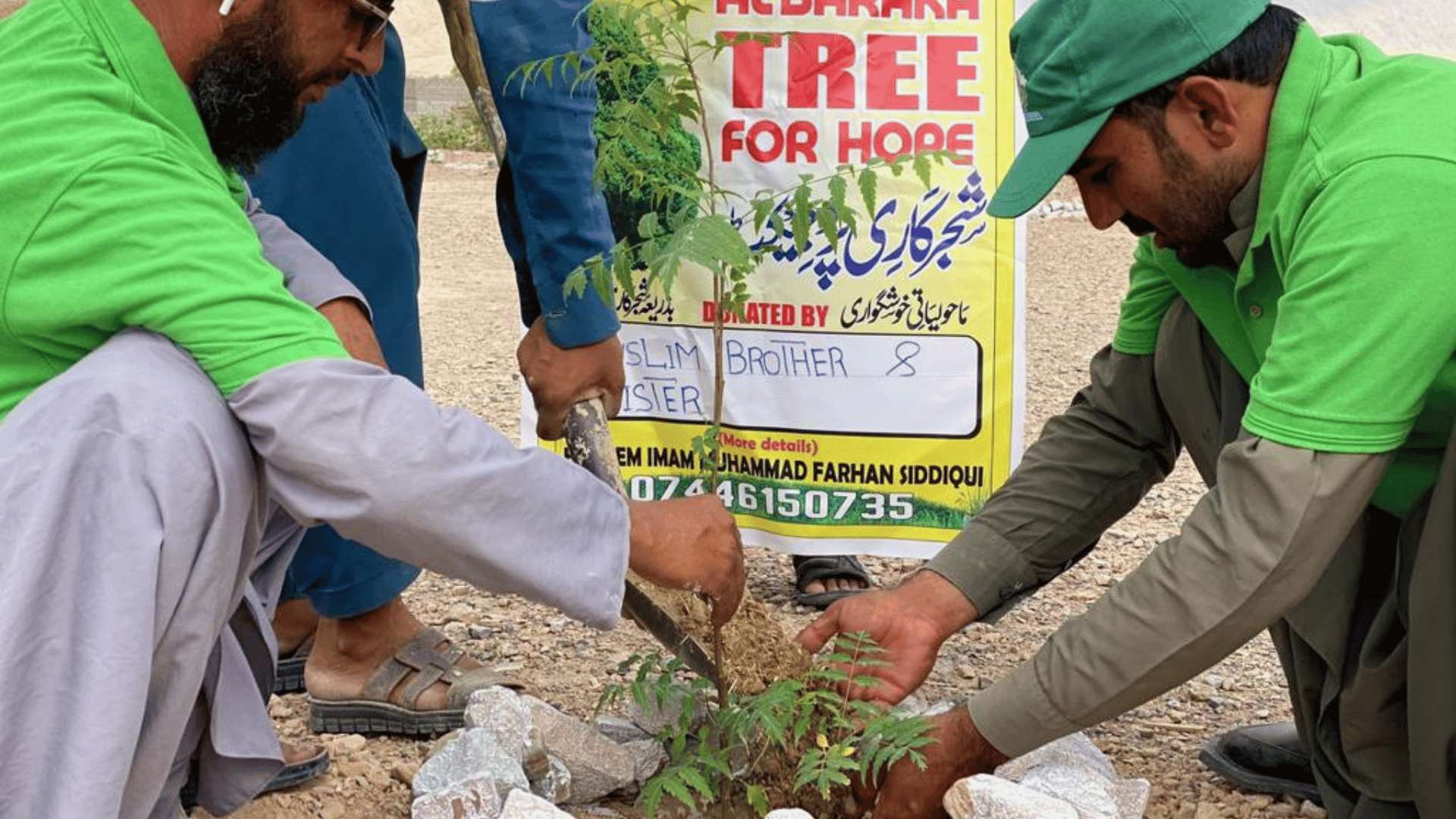 Tree Project